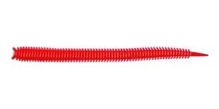 Черв'яки їстівні штучні Salt Water LUGWORM 2.5in (6.35 см), 24шт. 140503-F40 140503-F40 фото